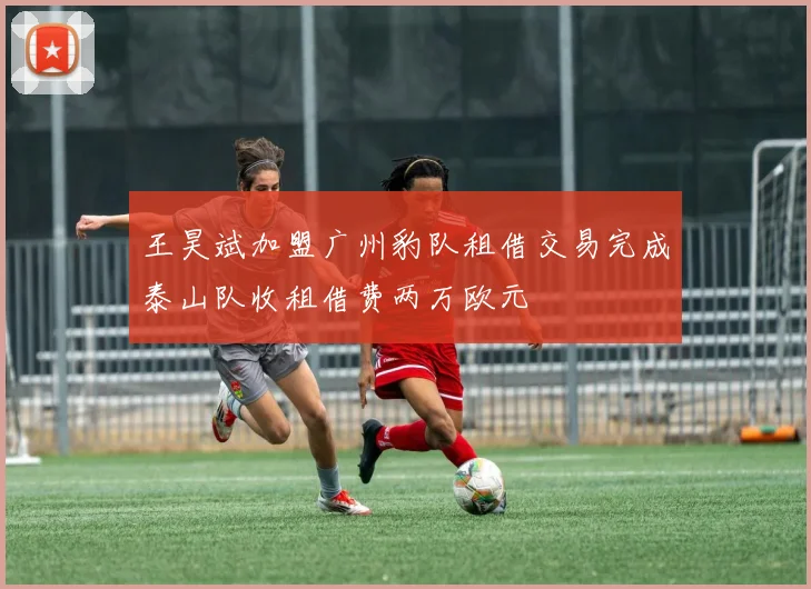 王昊斌加盟广州豹队租借交易完成泰山队收租借费两万欧元